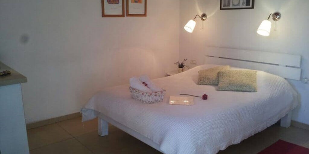 החצר של קובי תמר (7).jpg