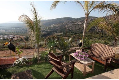 עידן הנוף - הבריכה והחצר