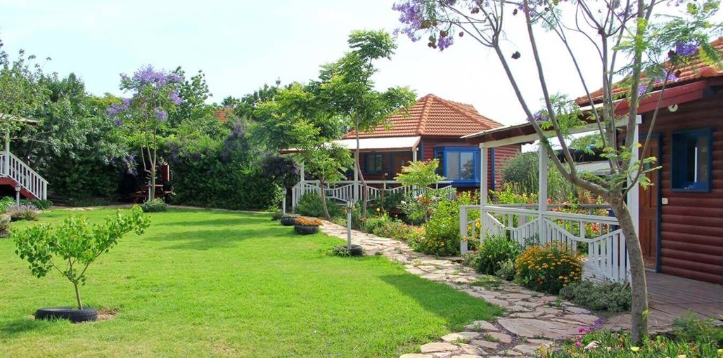 צימר בגבעה החצר והנוף (10).JPG