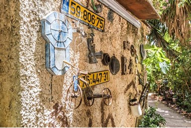 בין עצי הדובדבן - החצר והנוף