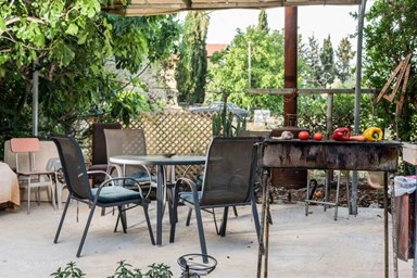 בין עצי הדובדבן - החצר והנוף