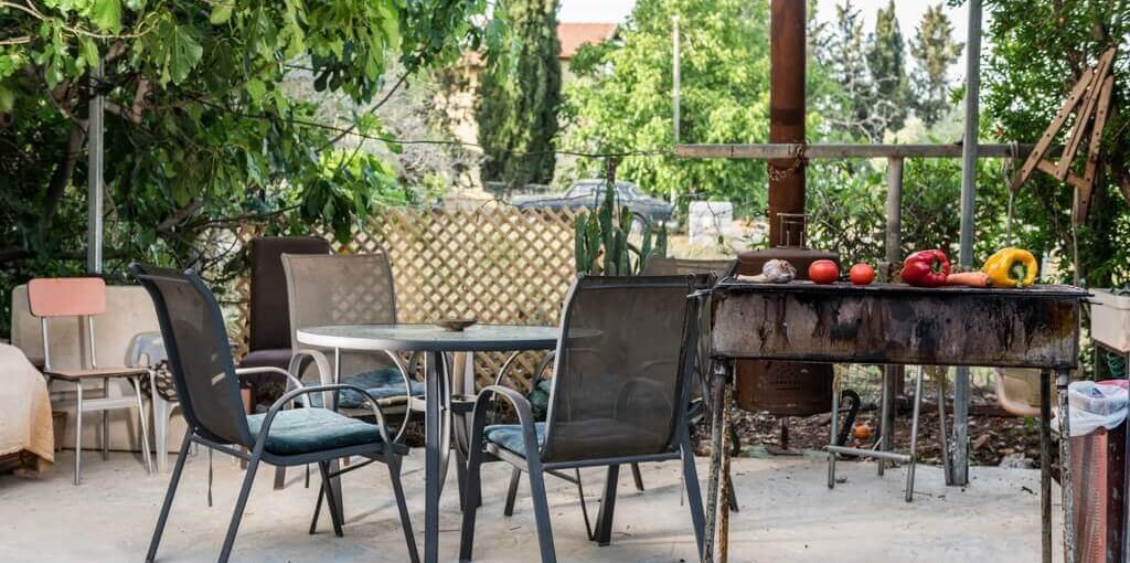 בין עצי הדובדבן גינה וגקוזי (12).jpg