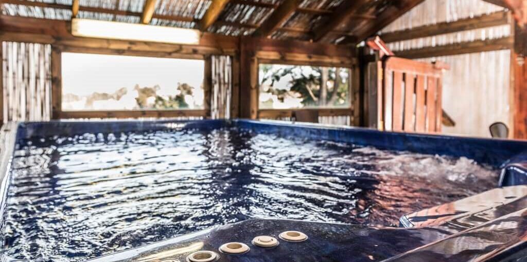 בין עצי הדובדבן גינה וגקוזי (1).jpg