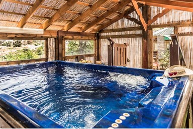 בין עצי הדובדבן