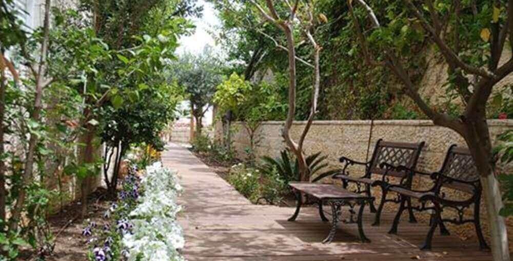 צימר ירושלים של זהב החצר והנוף (5).jpg