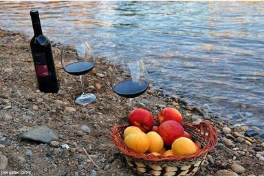 ליד הנחל - החצר והסביבה