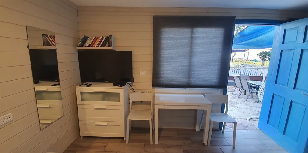 צלילי אהבה בכנרת ג'וניור (2).jpg