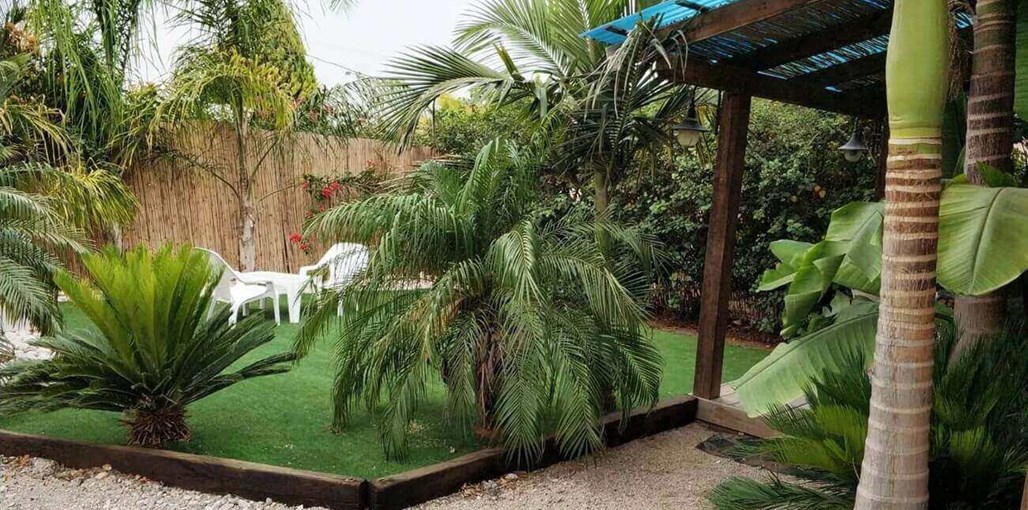 לאונצ'ו כחול (6).jpg