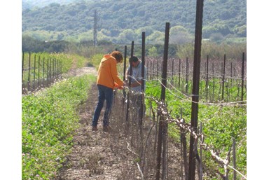 סמדר מלון בוטיק