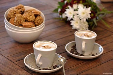 אחוזת טרה קוטה