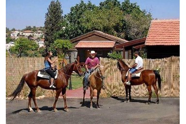 צימר בהר- גבעת יערים 