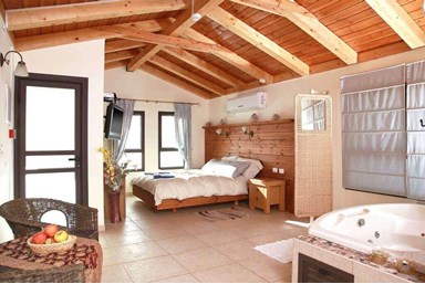 סוויטה בגב ההר