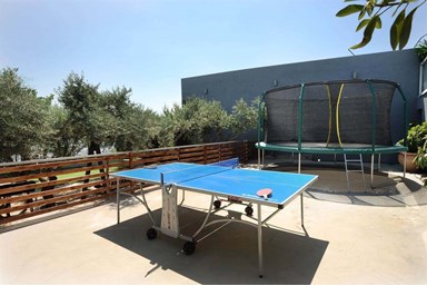 אביב הצפון - החצר והבריכה 