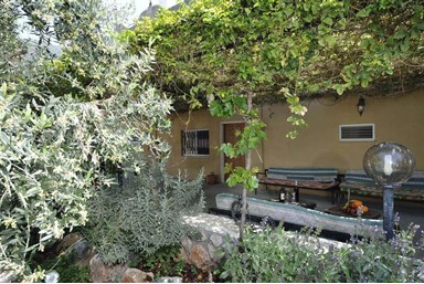 אביב הצפון - החצר והבריכה 