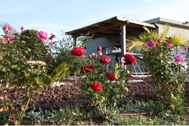 מול הצבר - מה באיזור 