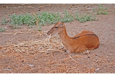 אורחן אורים - טיולים באיזור 