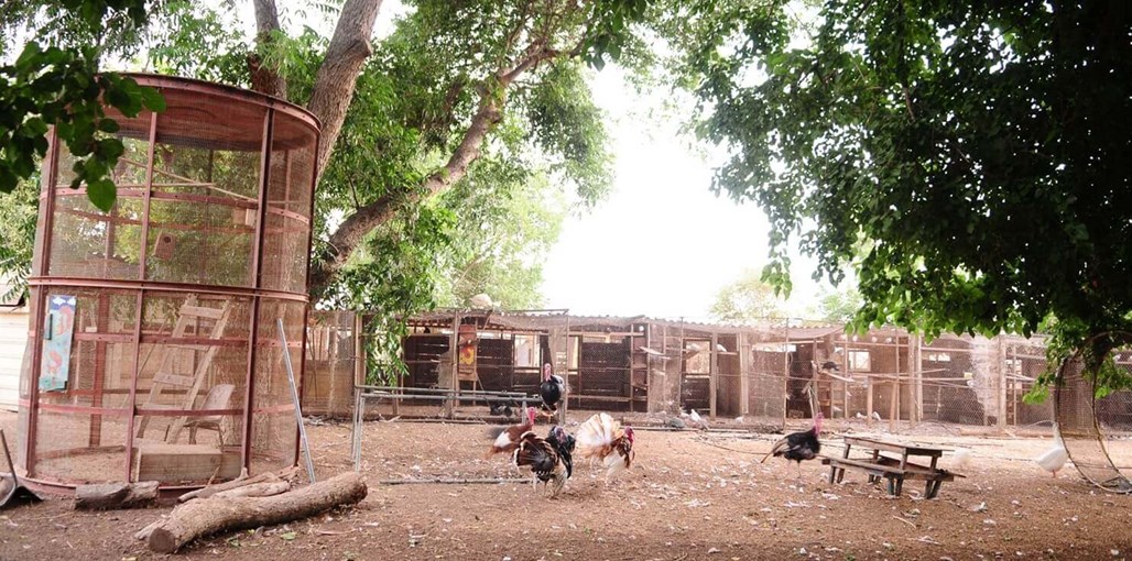 אורחן אורים המדשאות והחצר (21).JPG