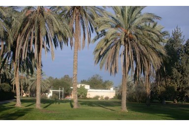 אורחן אורים - טיולים באיזור 