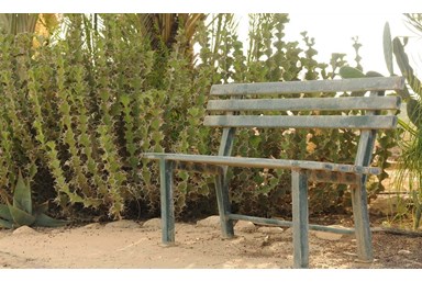 אורחן אורים - המדשאות והחצר 