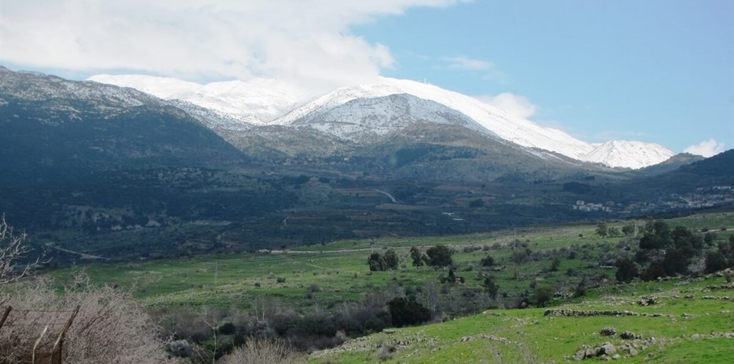 זיו בקתות לבנות חרמון (3).JPG