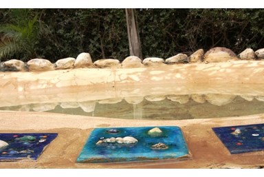 צימבר - הצימר הים תיכוני