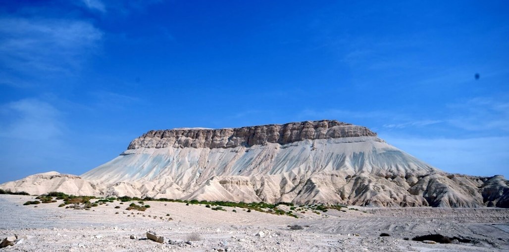 בצל התמר אטרקציות (2).jpg