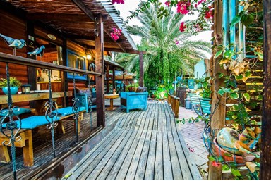 בצל התמר  - החצר והנוף