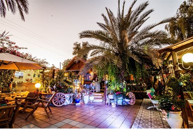 בצל התמר  - החצר והנוף