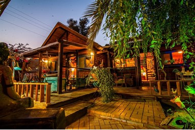 בצל התמר  - החצר והנוף