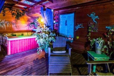 בצל התמר  - החצר והנוף