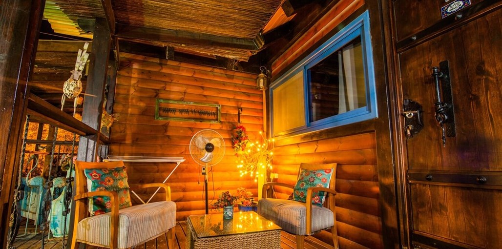 בצל התמר חדשות (74).JPG