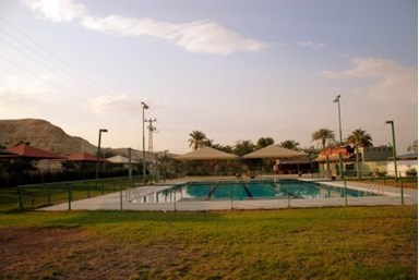 בצל התמר  - אטרקציות ביישוב ובאזור