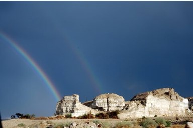 בצל התמר  - אטרקציות ביישוב ובאזור