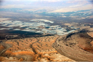 בצל התמר  - אטרקציות ביישוב ובאזור