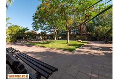 כפר הנופש אלמוג - החצר והנוף 