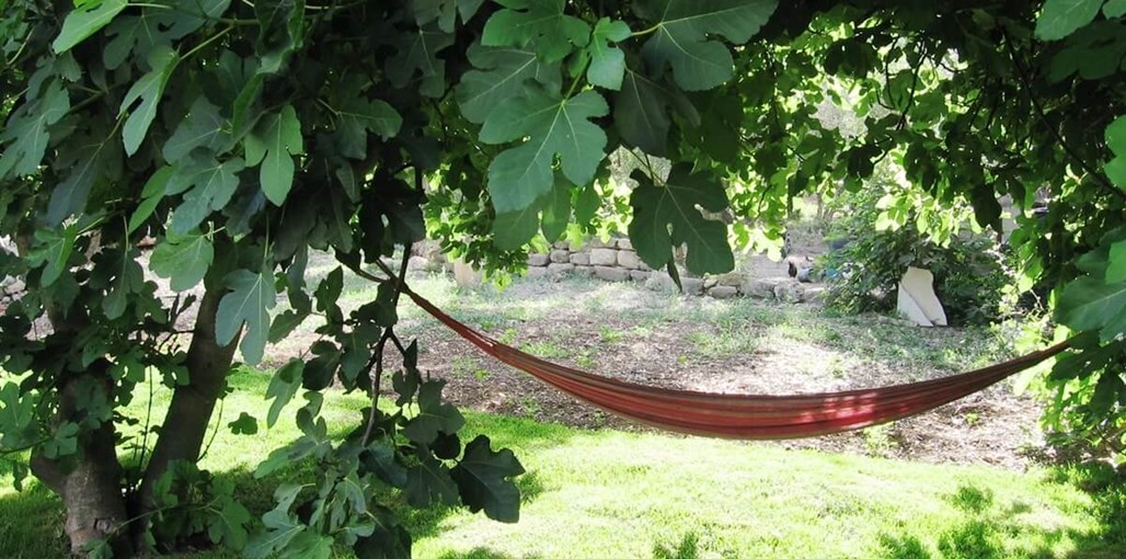 מקום לחלום בקתת תמר (2).jpg