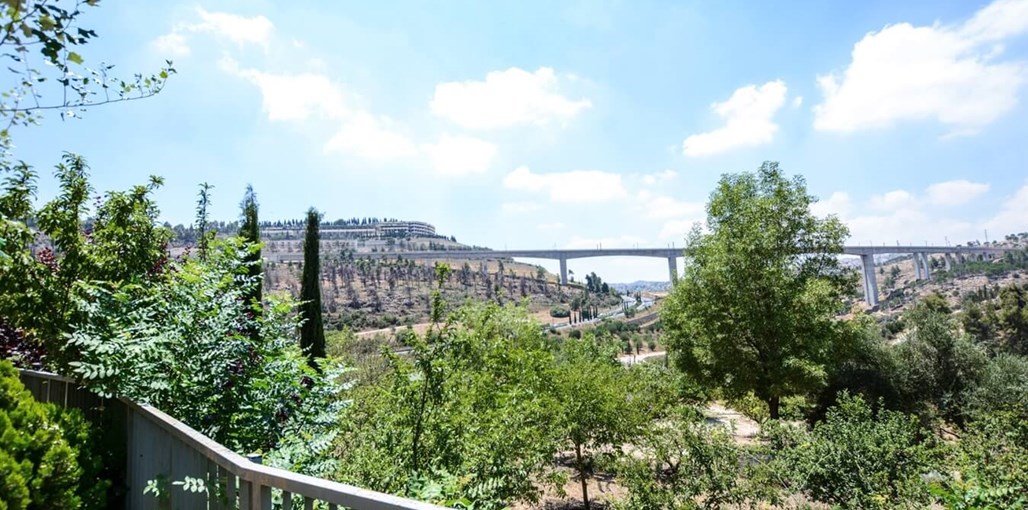 טור סיני אפרסק (5).jpg