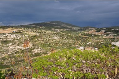 בקתות הר הלל  - החצר והנוף