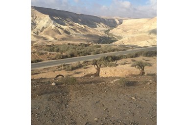 צימר למדבר - יחידה זוגית