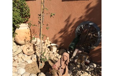 צימר למדבר - היחידה המשפחתית 