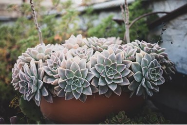 ג'רוזלם הוסטל - Jerusalem Hostel - הנוף