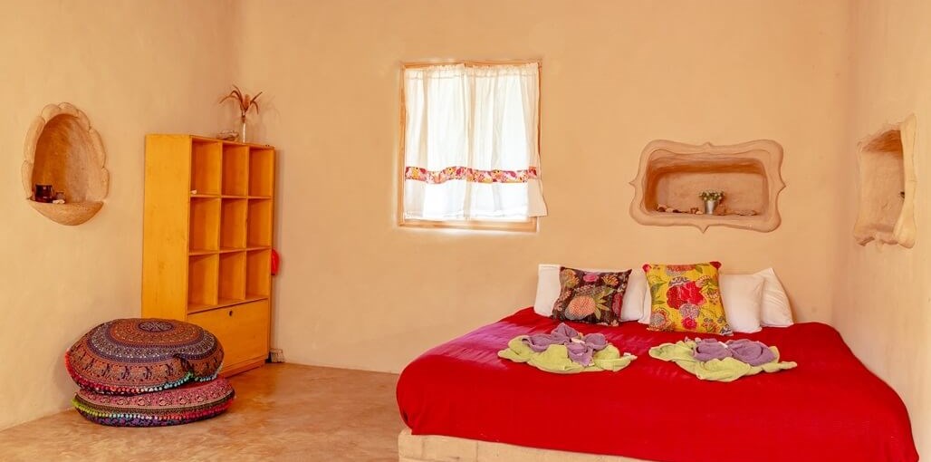 רותמ'ס ורדית חדשות (2).jpg