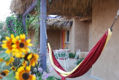 רותמ'ס - ורדית