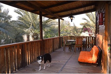 שקותאי בערבה - הבקתה האותנטית