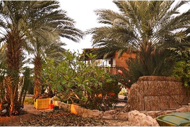 שקותאי בערבה - הבקתה האותנטית