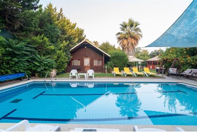 בקתות גבי בקצה היער - בריכת השחייה