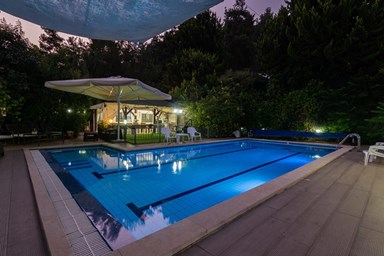 בקתות גבי בקצה היער - בריכת השחייה