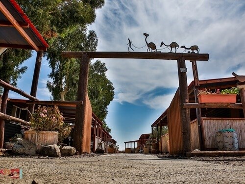 חאן אל על חאן (25).jpg