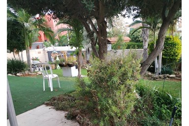 פינת האירוח של אריאלה