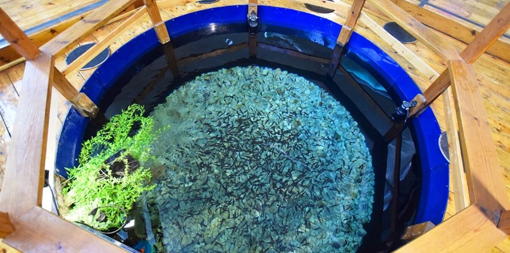 ויליג' קומפלקס DSC_0996.JPG